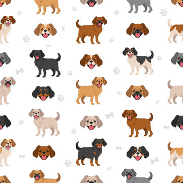 Pugalier, Cavapug clipart. Pug - Cavalier KIng charles Spaniel mix. Different coat colors set.  Vector illustration