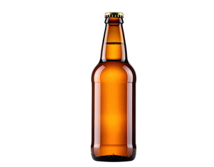 Amber beer bottle, front view, studio shot
