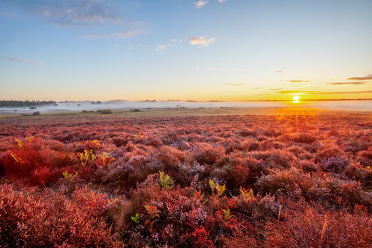 First light dawn sunrise over wide heathland landscape