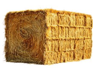 Large, light golden bale of hay