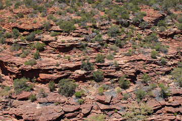 cliff at the kalbarri national park in western australia 