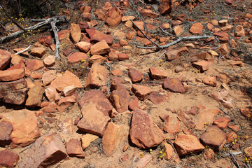 cliff at the kalbarri national park in western australia 