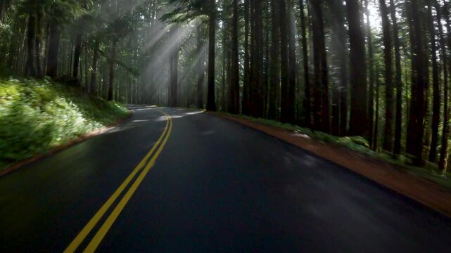 Road of Washington State,  driving across forest and mountains