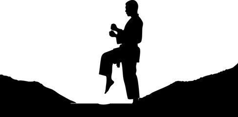 Dynamic silhouette of martial artist practicing karate kick, strong and focused energy, perfect for fitness, sports, and healthy lifestyle concepts © Vectors Studio