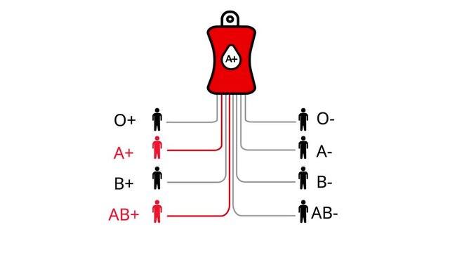 Blood type compatibility chart with A positive blood bag and compatible recipient icons Keywords: blood type, compatibility, chart, diagram, medical, healthcare, science, donation, transfusion, A