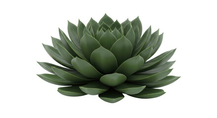 Isolated green succulent rosette against a neutral backdrop, for use in design and decor