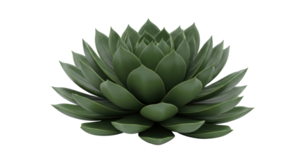 Isolated green succulent rosette against a neutral backdrop, for use in design and decor