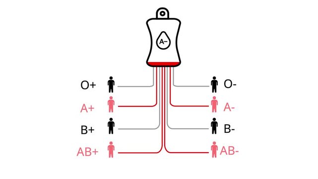 Blood type compatibility chart with A negative blood bag and compatible recipient icons Keywords: blood type, compatibility, chart, diagram, medical, healthcare, science, donation, transfusion, A