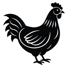 chicken vector icon on white background
