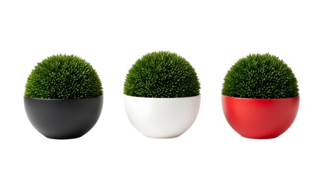 Three decorative green plants in colorful bowls Isolated on transparent background