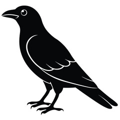 crow  vector icon on white background