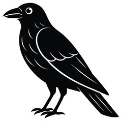 Obraz premium raven vector icon on white background