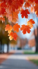 Vibrant Orange And Red Autumn Leaves Against Blurred Background Of Pathway And Trees