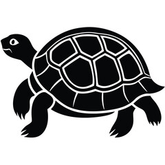 tortoise vector icon on white background