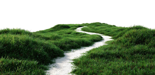 Winding path leading through lush green grass lawn, isolated on transparent cutout background