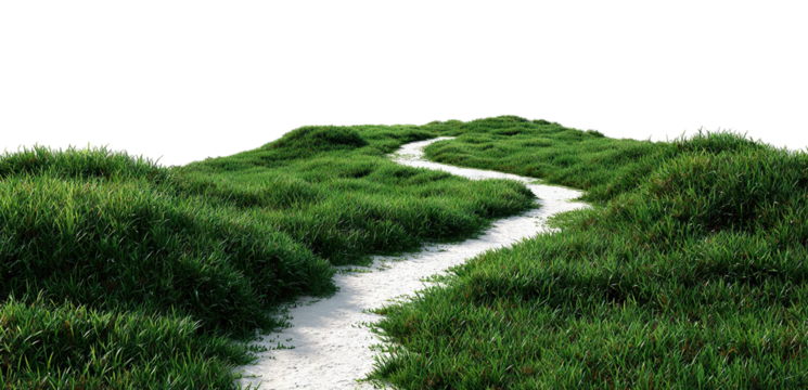 Winding path leading through lush green grass lawn, isolated on transparent cutout background