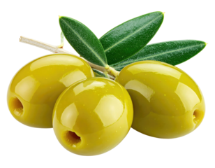 Close-up of three green olives on a branch with leaves (1)