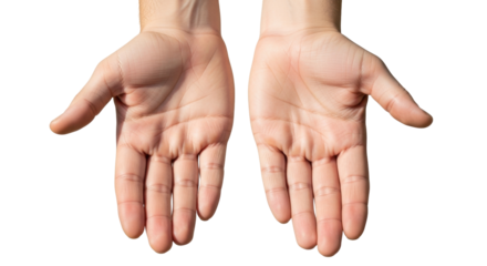 Isolated pair of human open empty hands asking giving offering gesture concept studio shot