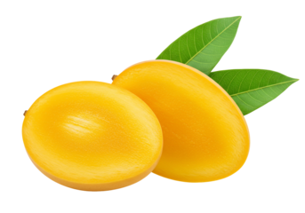 Mango fruit still life tropical food photography with transparent background
