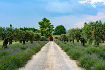 Farm in Provence near Orange