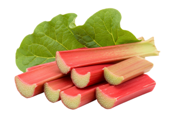 Rhubarb stalks and leaf still life isolated on transparent background
