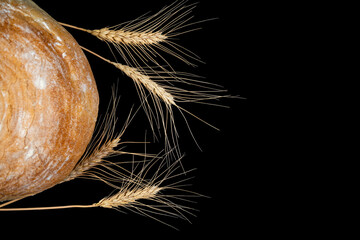 Freshly baked bread beside wheat ears captured in a dark setting showcasing natural textures and organic elements