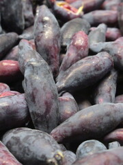 Zbliżenie na owoce jagody kamczackiej © Kumulugma