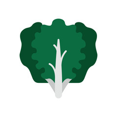 Kale icon in vibrant color for vegan, diet, and culinary themes.