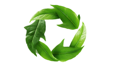 Vibrant green leaf recycling symbol, forming circular arrow loop, conveys powerful sustainable concept for nature and environment protection. hopeful graphic design offers renewal for earth