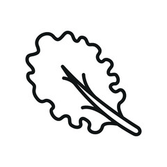 Kale icon in outline design for vegetable, nutrition, and farm fresh concepts.