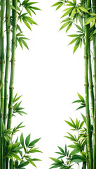 Eco-Friendly Bamboo Frame Border with Natural Stalks &ndash; Isolated PNG File