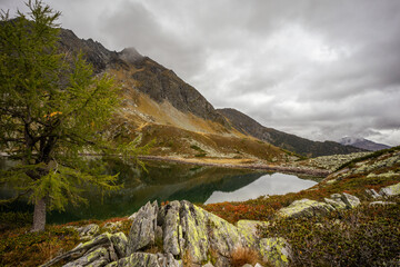 Photowalk - Graukogel - Palfnersee September 28 2025