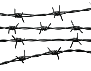 Three parallel lines of black barbed wire against a black background
