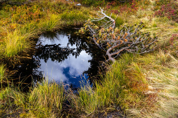 Photowalk - Graukogel - Palfnersee September 28 2025