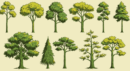 A comprehensive set of diverse tree illustrations showcasing various species like oak, pine, and maple, suitable for graphic design and ecological themes