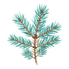 Naklejka premium Delicate watercolor branch of teal evergreen isolated on white background