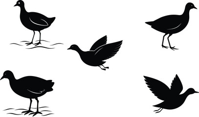 Purple Gallinule Different Linocut Style Vector Illustration Set
