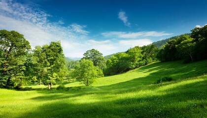 Obraz premium Lush Green Landscape With Trees And Bushes Serene Beauty