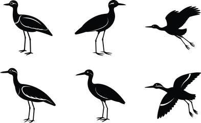 Thick Knee Different Linocut Style Vector Illustration Set