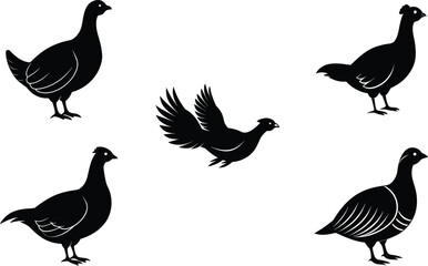 Prairie Chicken Different Linocut Style Vector Illustration Set