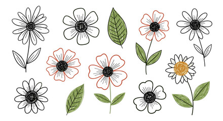 A collection of hand drawn floral elements including daisies and leaves.