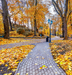 Autumn in public domain city park in Riga - the capital of Latvia, Baltic region