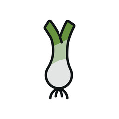 Leek icon in color with line style for vegetable, cooking, and health visuals.