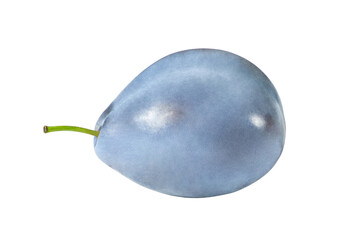 plum one whole blue, isolated on white background with clipping path