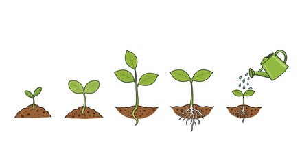 Plant Growth Stages with Watering Can Illustration.