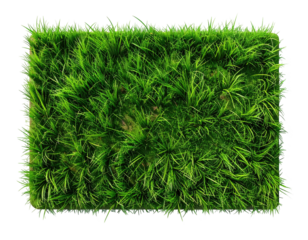 Rectangular patch of vibrant green grass
