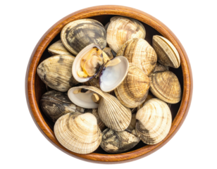 Wooden bowl filled with clams (2)
