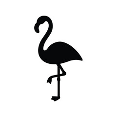 Elegant black flamingo standing on one leg on white background image