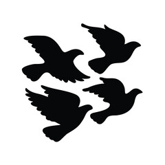 Silhouette of Birds in Flight Depicting Freedom and Peace Symbolism