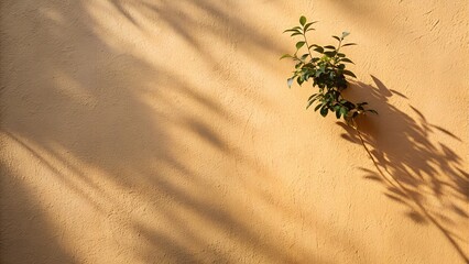 Small plant growing on a textured wall